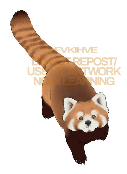 red panda coloring